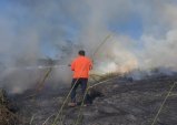 Defesa Civil e Corpo de Bombeiros combatem incêndio em vegetação na Estrada dos Remédios