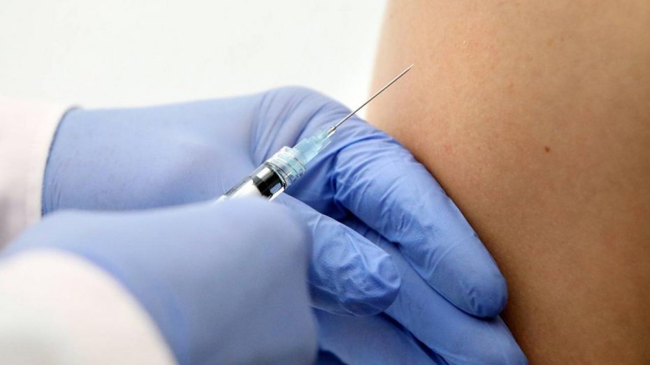 Anvisa aprova uma nova vacina contra a dengue