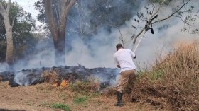 Área de 22 hectares foi queimada em três dias no Parque do Itaim
