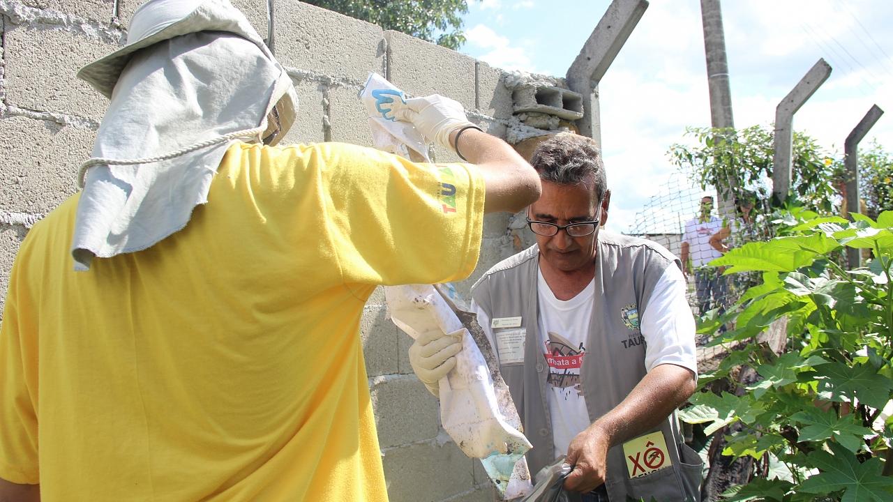Índice mostra que Taubaté está fora do risco de epidemia de dengue