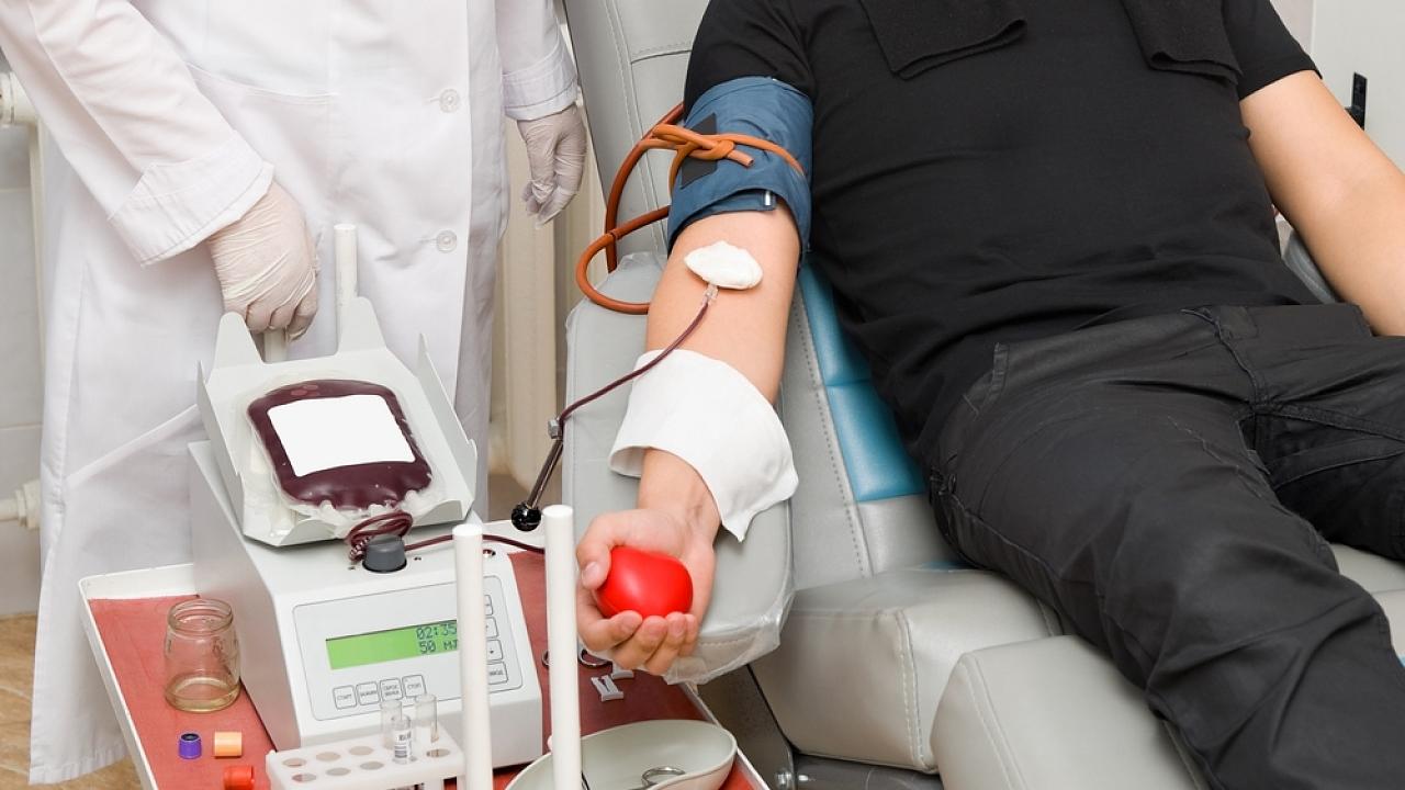 Hemonúcleo volta a receber doação de sangue em novo endereço