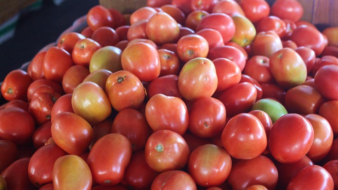 Pesquisa aponta tomate como ‘vilão’ do aumento da cesta básica