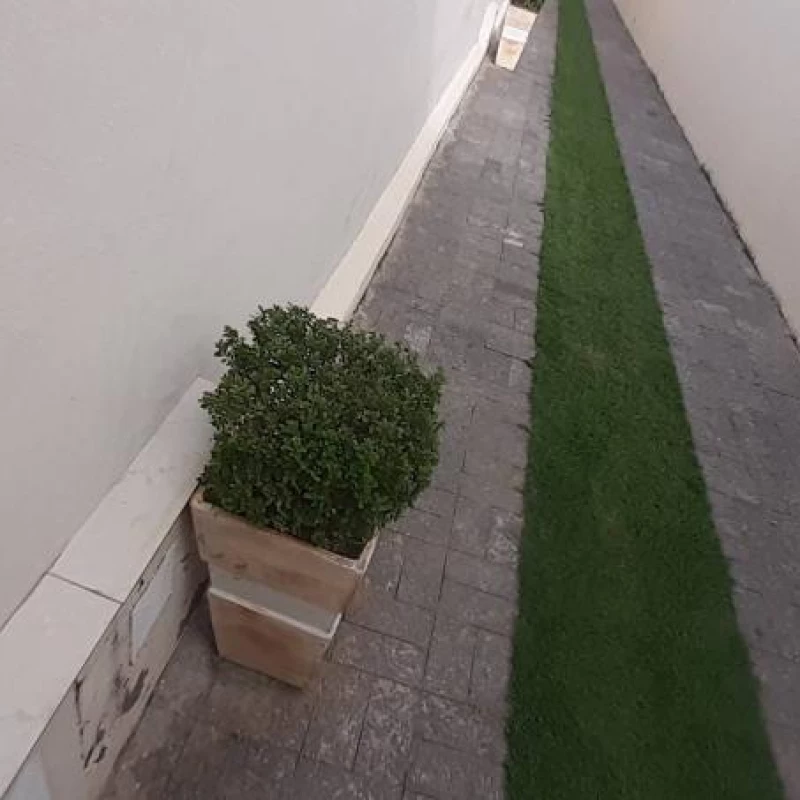 Jardinagem