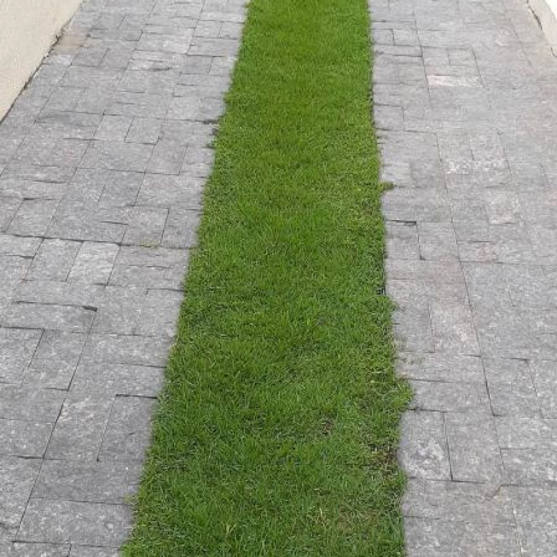 Jardinagem