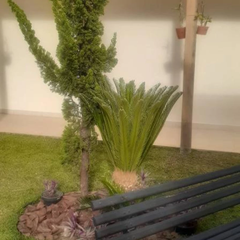 Jardinagem