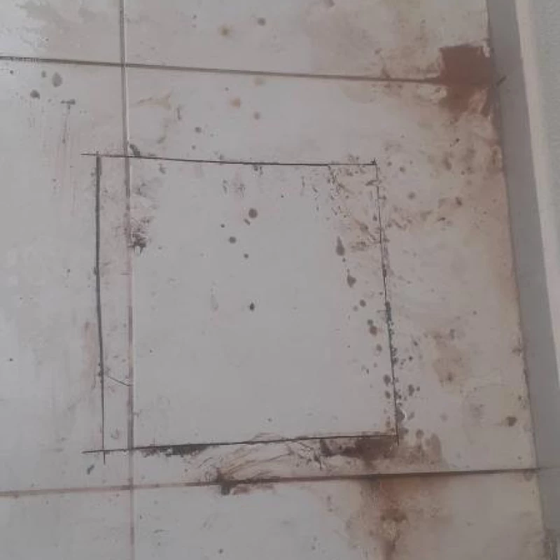 Manutenção Preventiva Geral