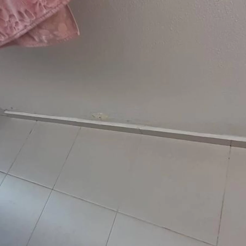 Manutenção Preventiva Geral
