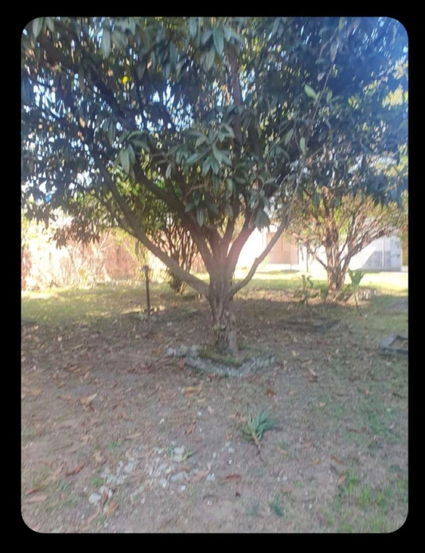 Foto 13: Chácara Premium com Duas Casas em Taubaté Est.SP 
