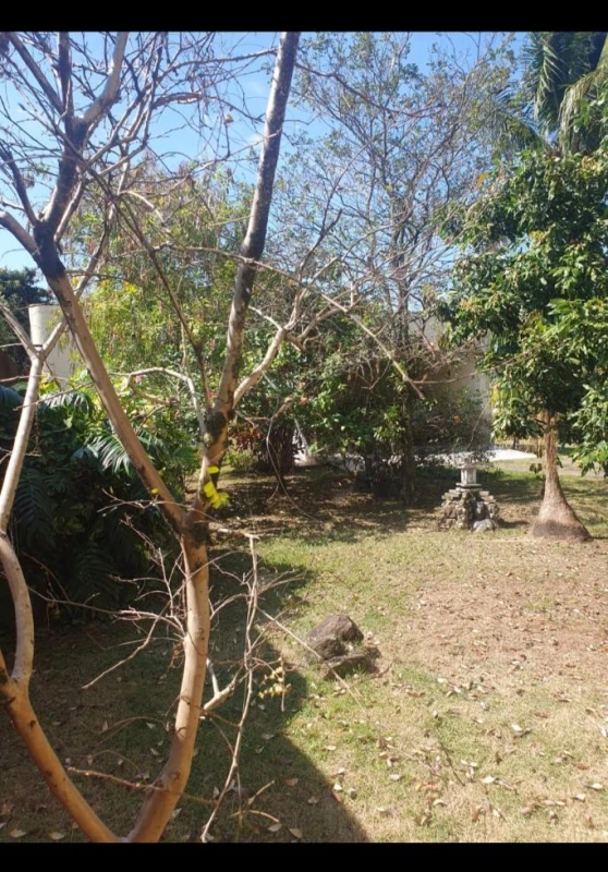 Foto 21: Chácara Premium com Duas Casas em Taubaté Est.SP 