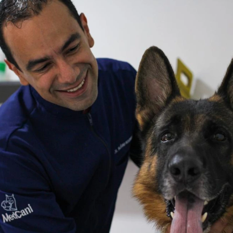Oncologia Veterinária