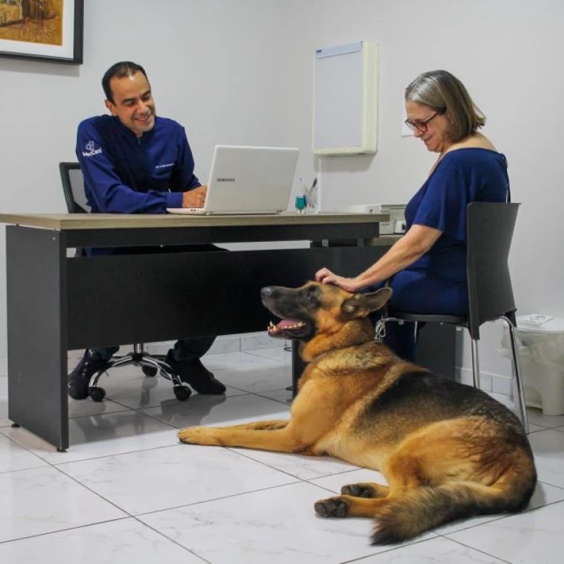 Fisioterapia Veterinária
