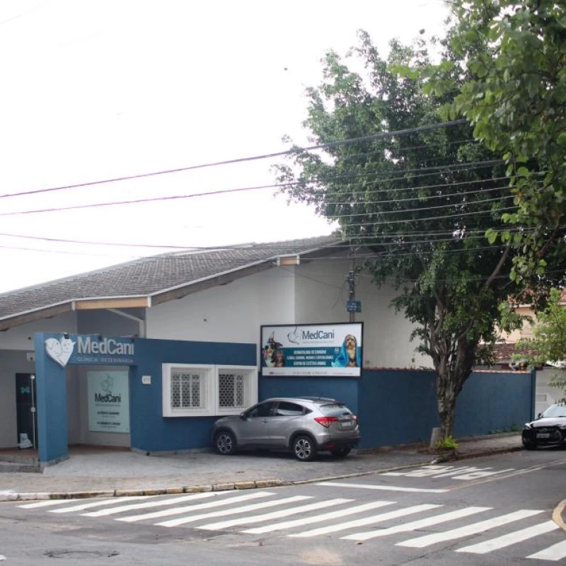 Microchipagem de Cães e Gatos