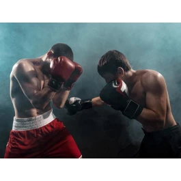 Aulas de Boxe