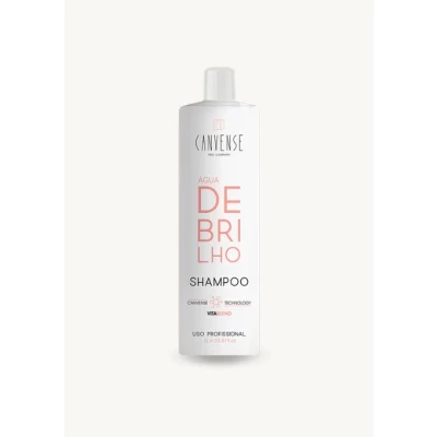 Taubaté: SHAMPOO ÁGUA DE BRILHO - 1l