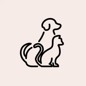 Foto  Consulta Veterinária Clínica Geral