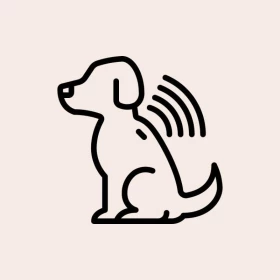 Foto Microchipagem de Cães e Gatos