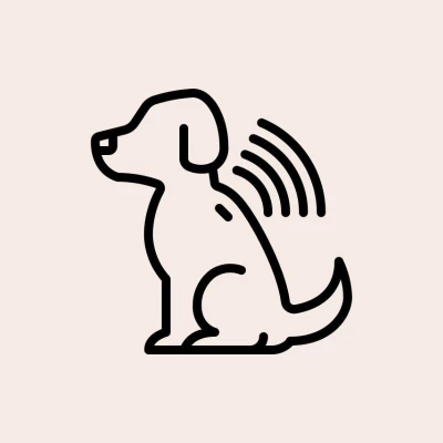 Taubaté: Microchipagem de Cães e Gatos