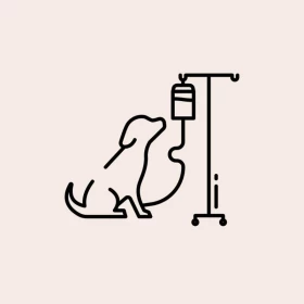 Foto Quimioterapia em Cães e Gatos