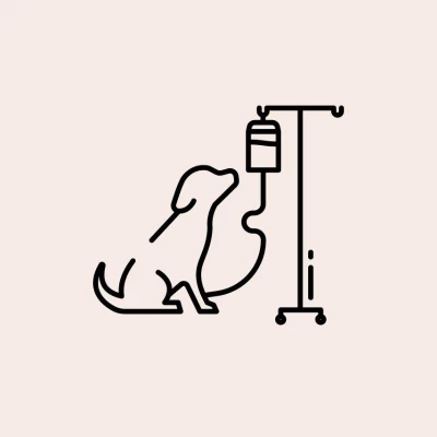 Taubaté: Quimioterapia em Cães e Gatos
