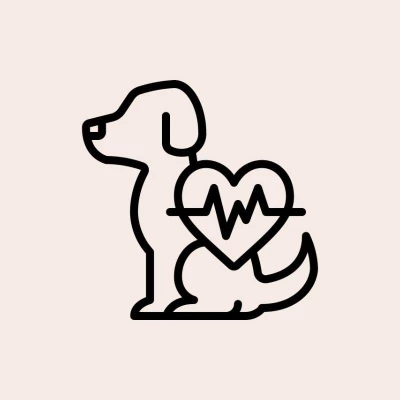 Taubaté: Ecocardiograma Veterinário