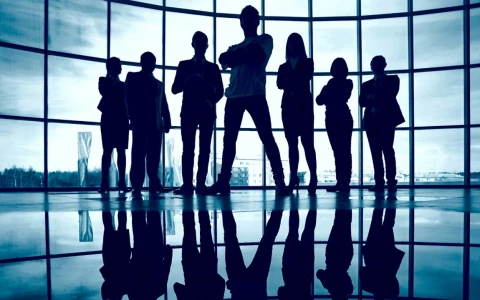 Como as empresas líderes de mercado conseguiram sucesso - Um apanhado do conceito.
