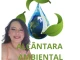 ALCÂNTARA AMBIENTAL