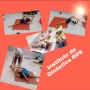 Foto 1:  RDS Instituto de Ginástica