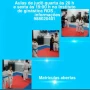 Foto 1:  RDS Instituto de Ginástica