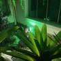 Foto 1:  Frequências Terapias