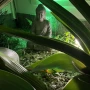 Foto 1:  Frequências Terapias