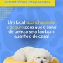 Foto 1:  Pet Hotel do Conde