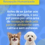 Foto 1:  Pet Hotel do Conde