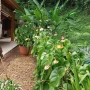Foto 1:  Gilson Varallo Neg Imobiliários