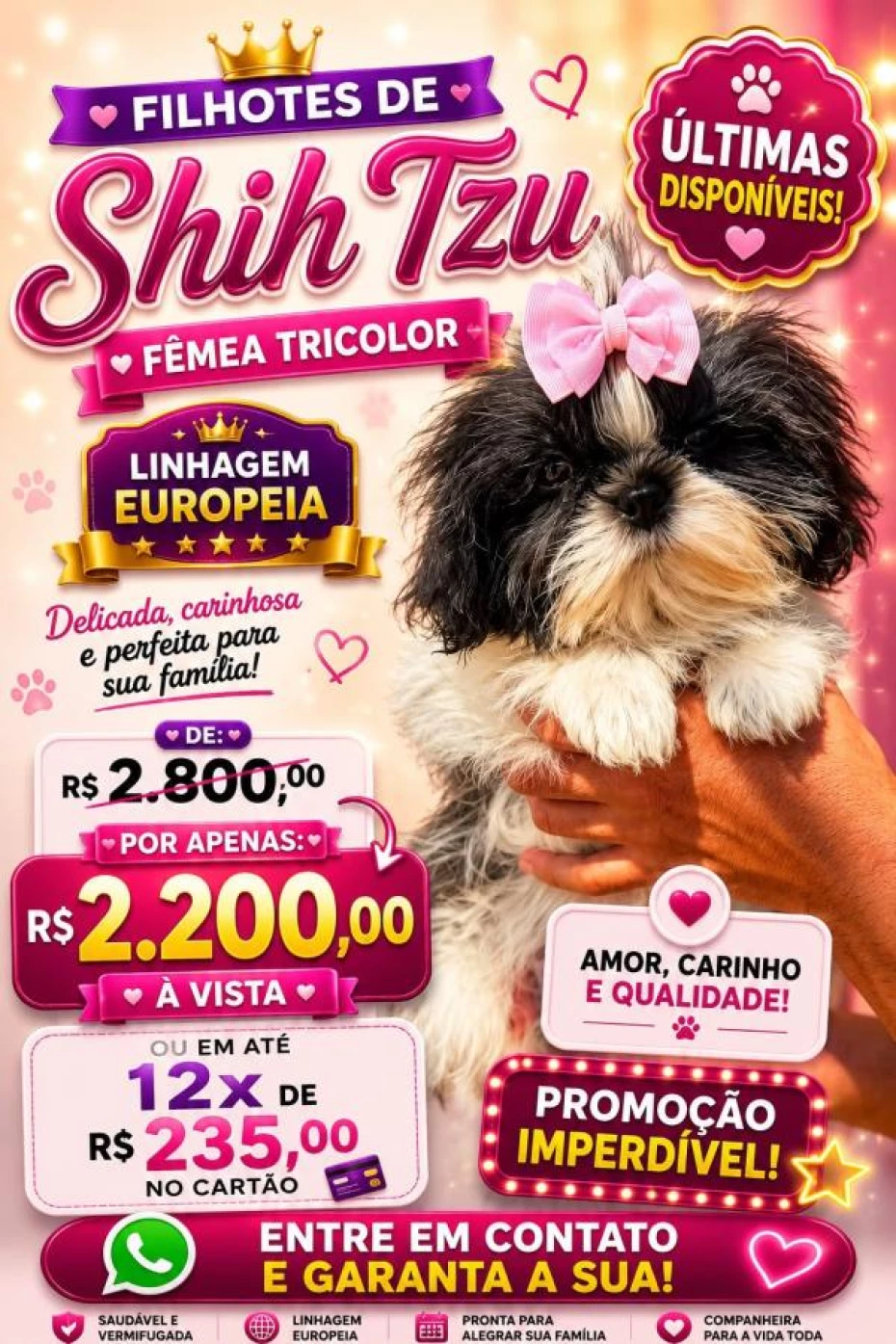 Foto 1:  — Canil Império dos BBS