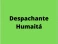 Logo de Despachante Humaitá 