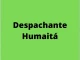 Despachante Humaitá 