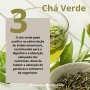 Foto 1:  Casa dos Chás