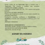 Foto 1:  Espaço Semente Yoga 