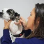Foto 1:  MedCani Clinica Veterinária