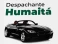 Logo de Eduardo Despachante Humaitá