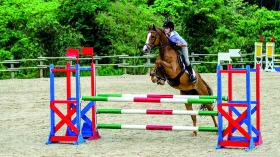 Apresentação de Hipismo é destaque do Sesc Verão 