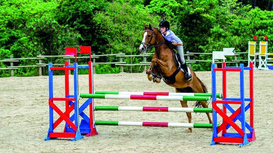 Apresentação de Hipismo é destaque do Sesc Verão Apresentação de Hipismo é destaque do Sesc Verão
