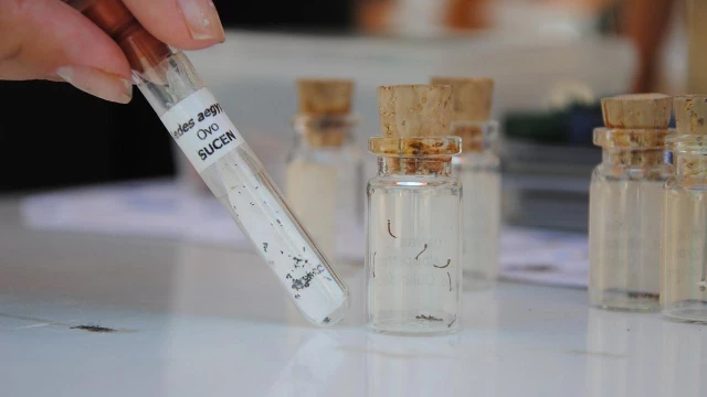 Encontro intensifica trabalho de combate ao Aedes aegypti na região