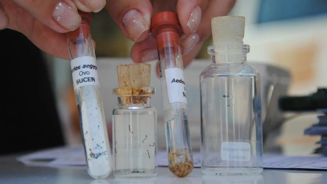 Região central lidera índice de Dengue 