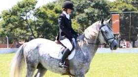 Horsemanship é tema de bate-papo no Sesc