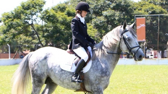 Horsemanship é tema de bate-papo no Sesc