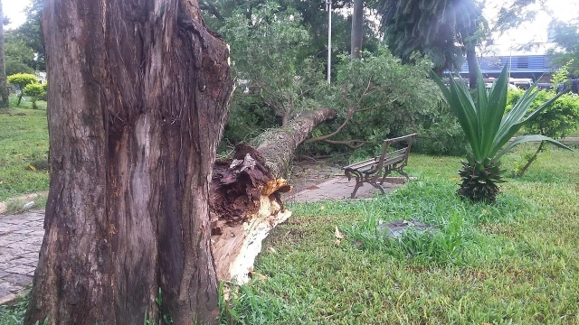 Chuva causa estragos em Taubaté 