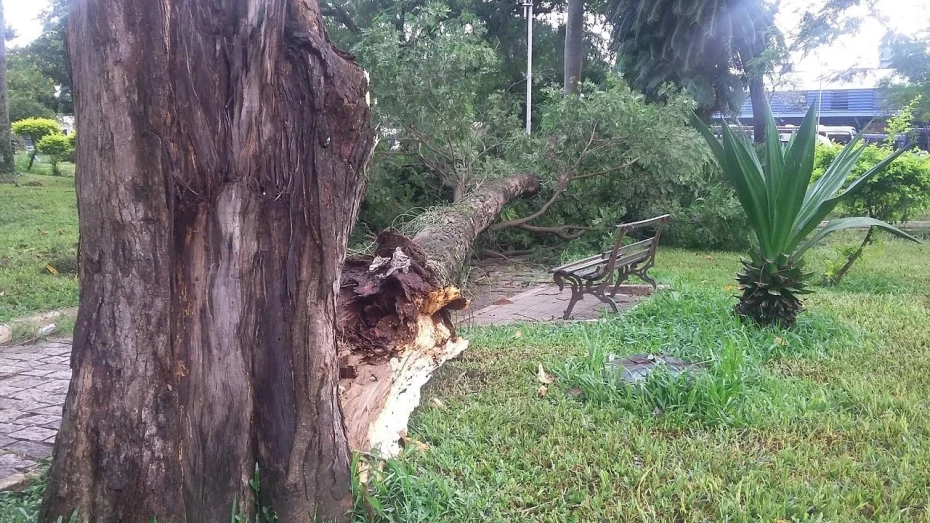 Chuva causa estragos em Taubaté Chuva causa estragos em Taubaté