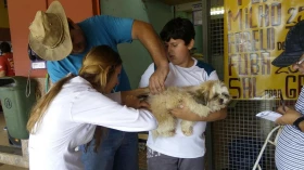 Zona urbana recebe vacinação antirrábica neste sábado