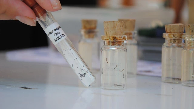 Taubaté supera 1.000 casos confirmados de dengue